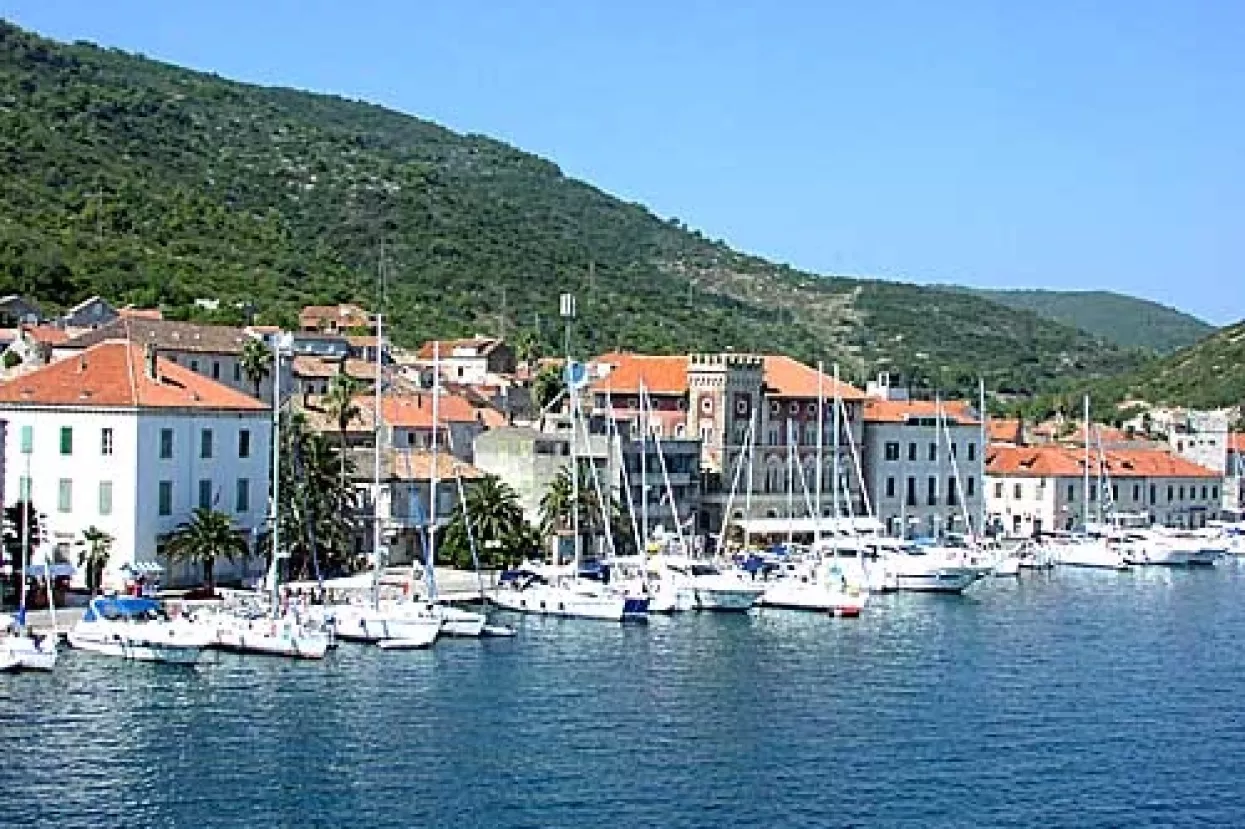 Direktor Visa odustao nakon tjedan dana