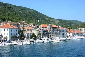 Direktor Visa odustao nakon tjedan dana