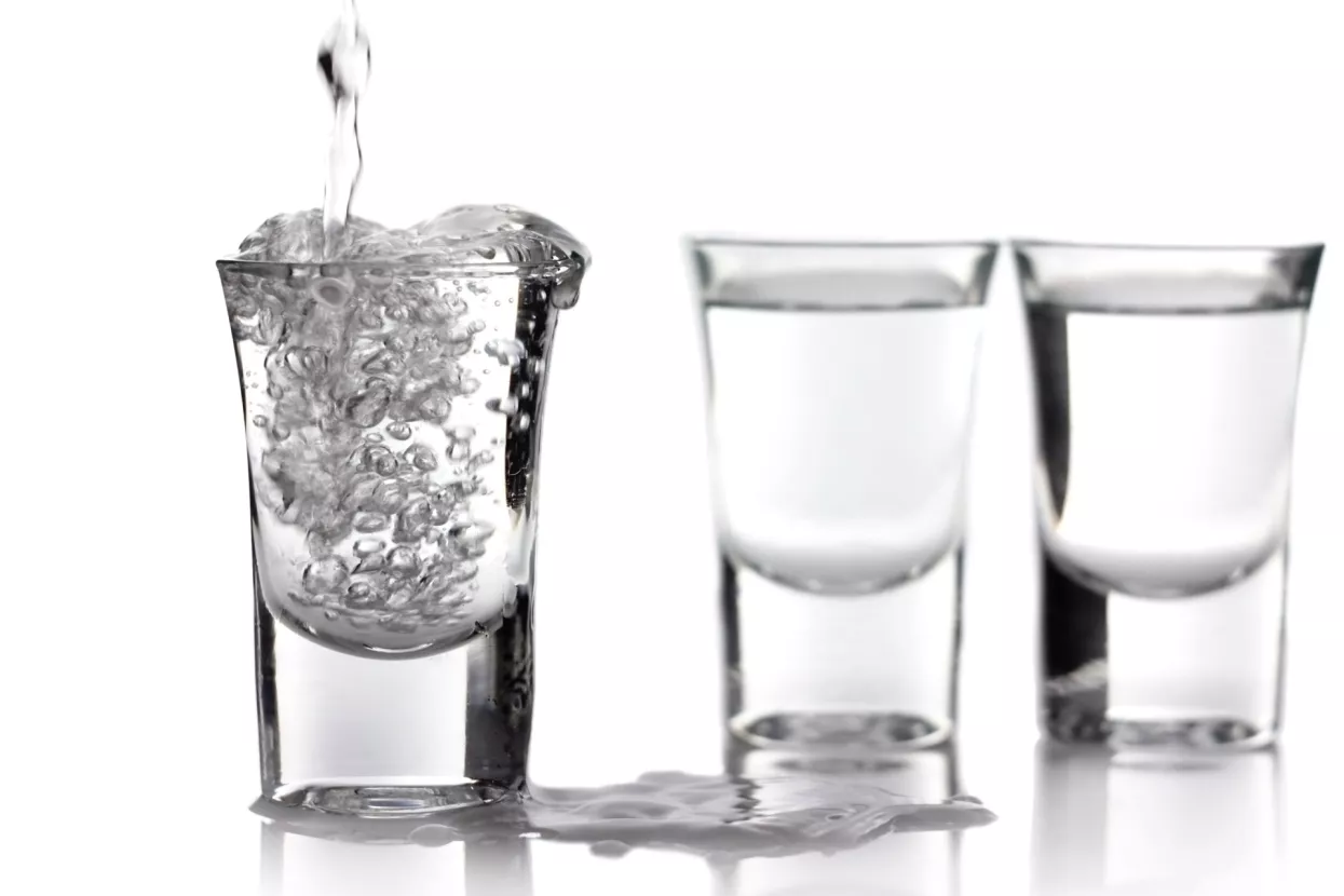 Najveći rast tržišnog udjela Badel 1862 postigao vodkom