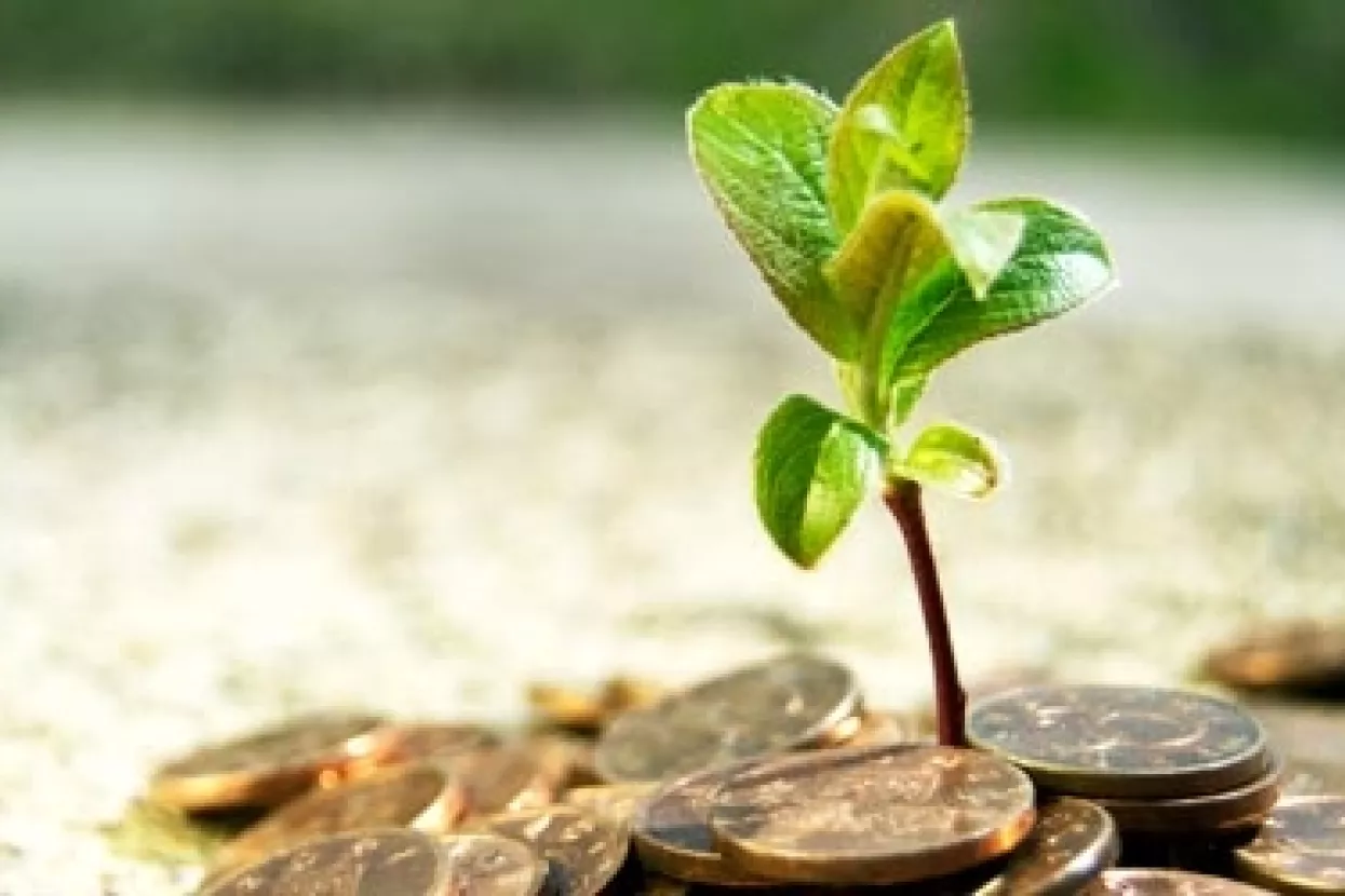 Izravna ulaganja rasla zbog pretvaranja potraživanja u udjele