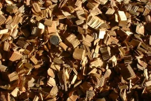 Biomasa - domaći energent velike vrijednosti