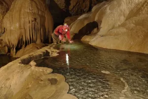 Eksperiment: Hoće li Hrvatska dobiti svoj prvi pljesnivi sir?