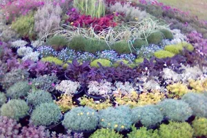 Danas se otvara Floraart na Bundeku