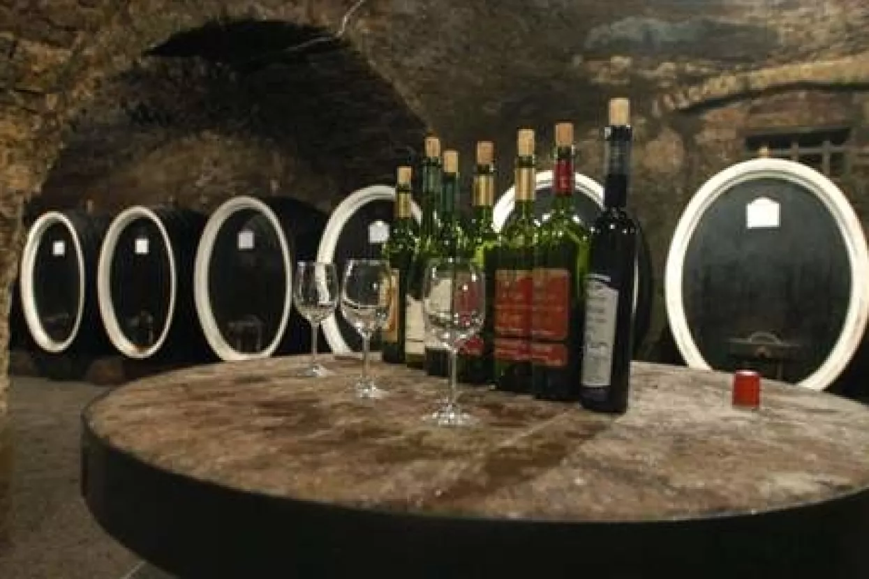 Maxim Moralić predsjednik NO-a Kutjeva