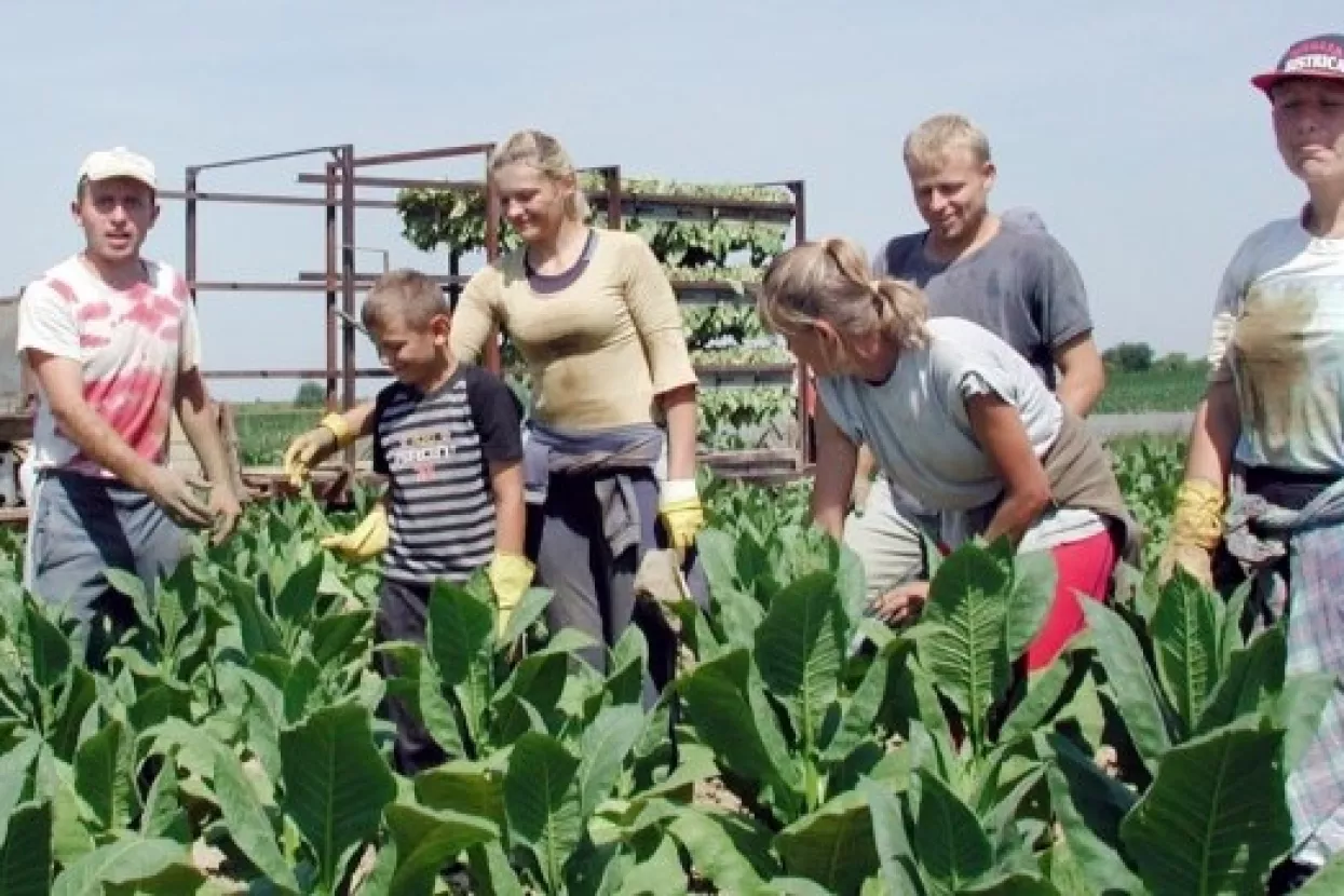 Knjižicama i kuponima protiv rada na crno u poljoprivredi