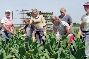 Knjižicama i kuponima protiv rada na crno u poljoprivredi