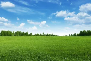 Traži se novi direktor Fonda za za&scaron;titu okoli&scaron;a