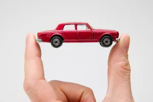 Treba se, kažu, veseliti malim stvarima