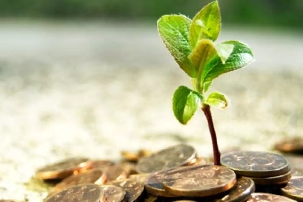 Privatne tvrtke nastale u tranziciji nemaju kapitala