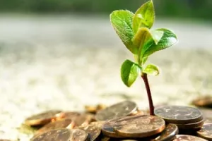 Privatne tvrtke nastale u tranziciji nemaju kapitala