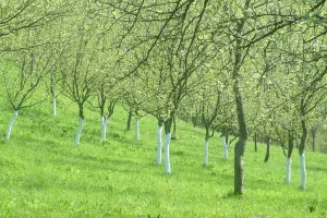 Hlad Poljoprivreda pripojena Questus nekretninama