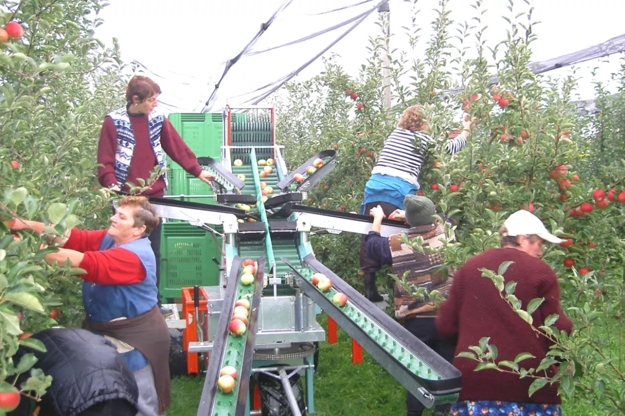 Do jeseni intenzivni inspekcijski nadzori sezonskog zapo&scaron;ljavanja