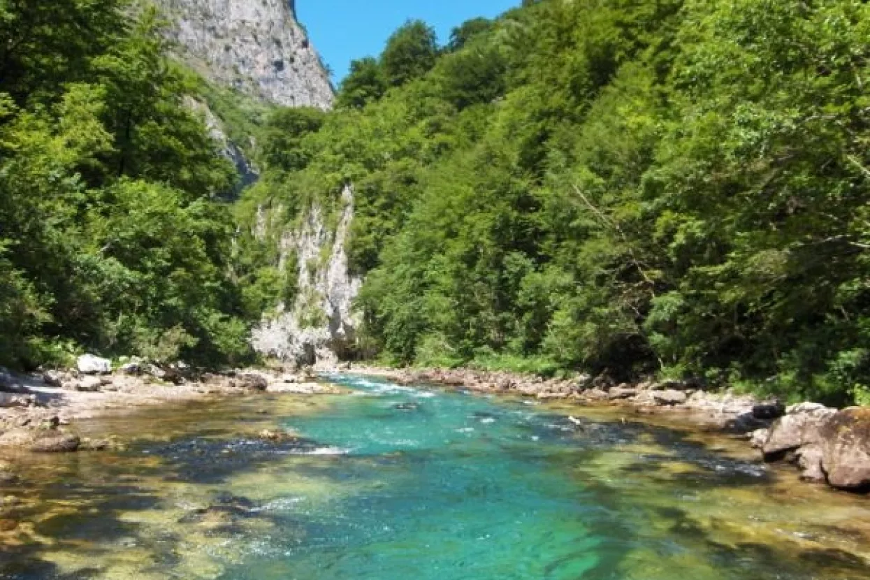 'Projekti hidorelektrana od Neretve će napraviti slanu pustinju'