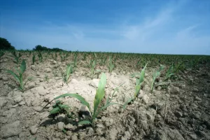 Većina protiv financijske pomoći poljoprivrednicima