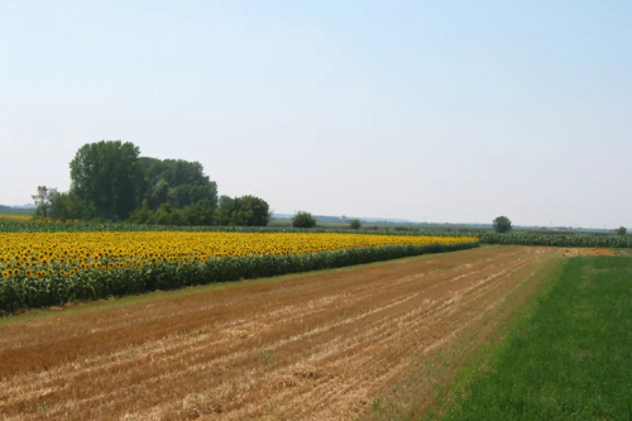 'Županije nitko ništa nije pitao o zakonu o poljoprivrednom zemljištu'