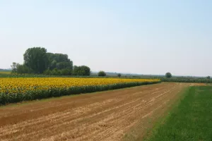 'Županije nitko ništa nije pitao o zakonu o poljoprivrednom zemljištu'