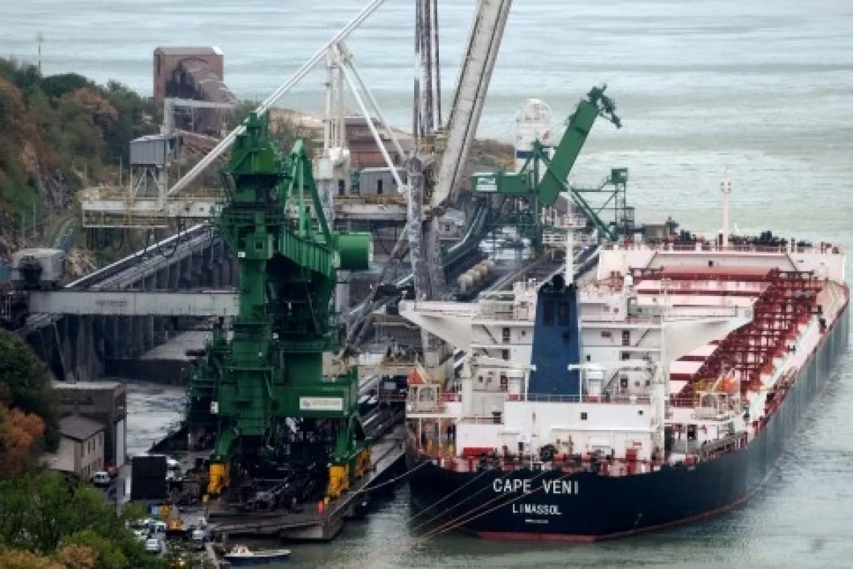 U bakarsku luku uplovilo 163.000 tona rudače