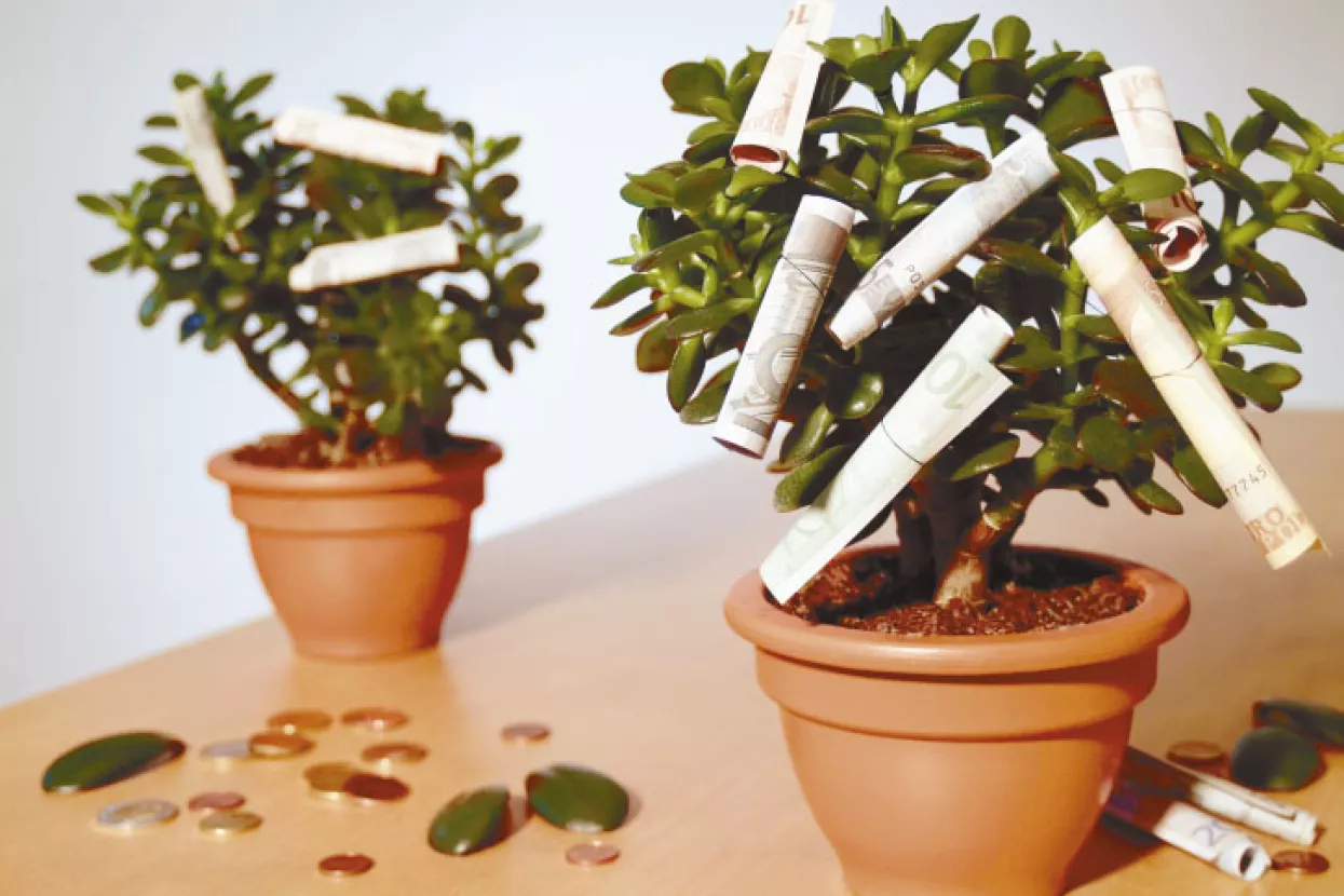 'Rani' plodovi investicijskih projekata - nada za 2013.