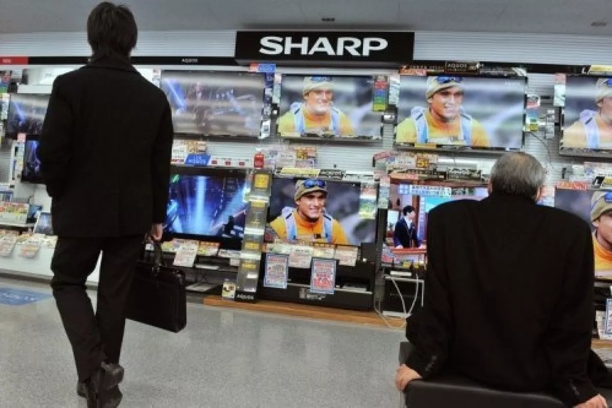 Japanski div Sharp bori se za opstanak