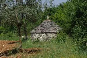 Istarska županija želi tematsku sjednicu o Plominu