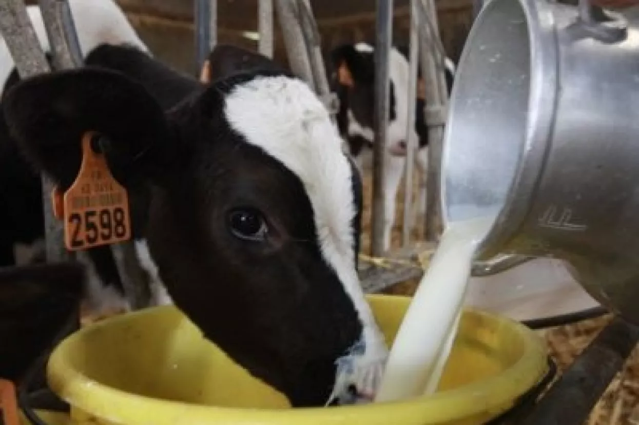 Sljedeći tjedan definirat će se 'mliječni kodeks'