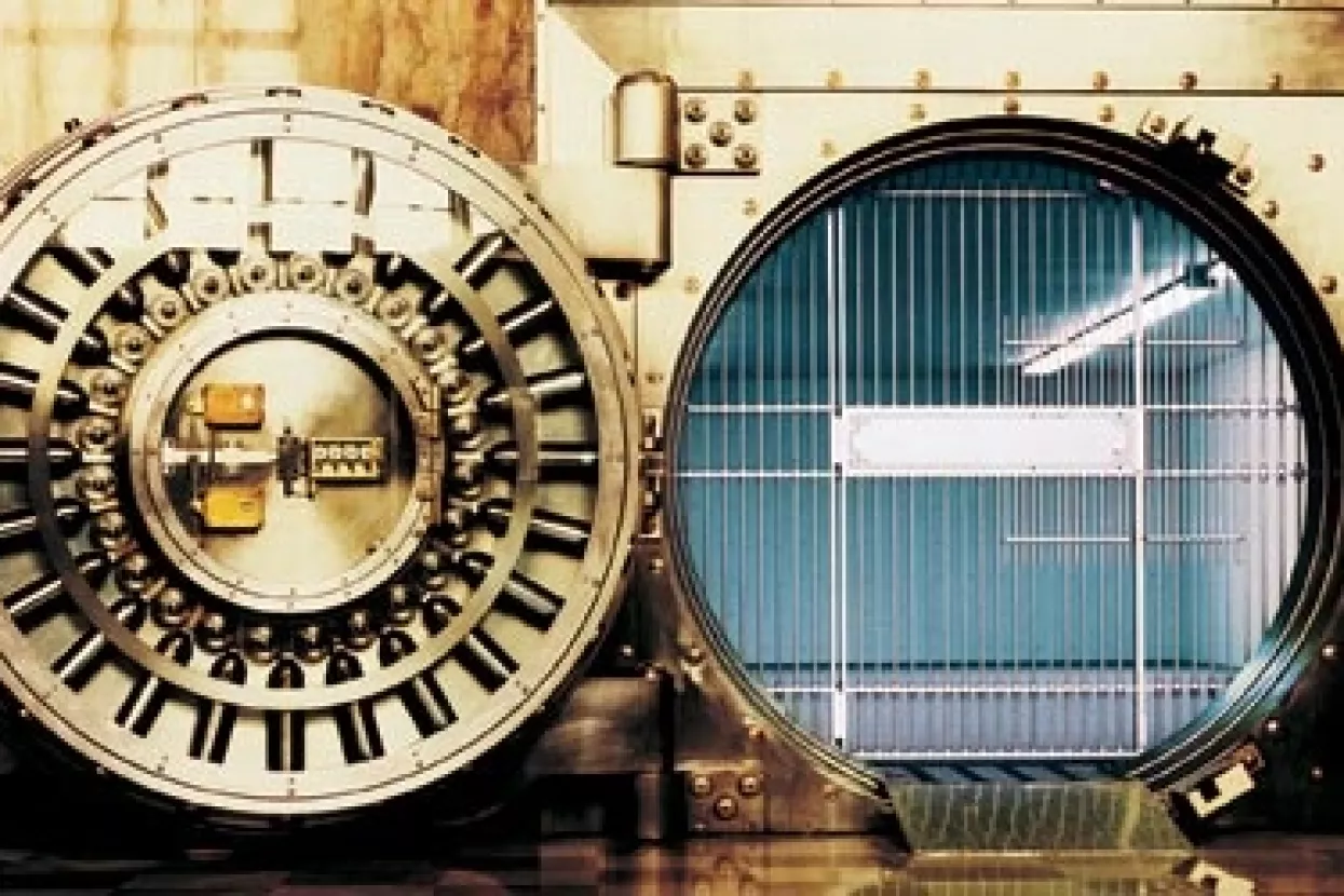 Ahilova peta brojnih gospodarstava srednje i istočne Europe je bankovni sustav