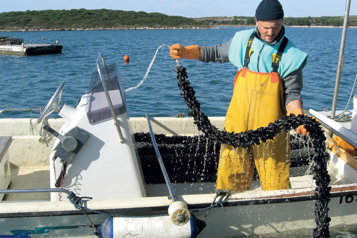 Nema više zabrane, ali nema ni kamenica