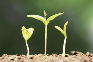 Gdje nema rasta, nema ni investitora