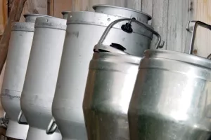 Mljekari složni: Ne damo mlijeko otkupljivačima