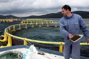 Cromarisu dozvoljen izvoz u Rusku federaciju