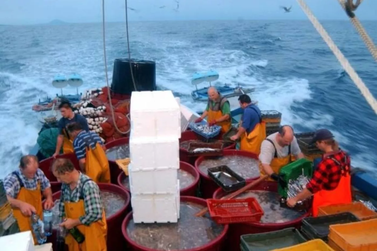 Europa uvozi dvije trećine ribe koju potroši