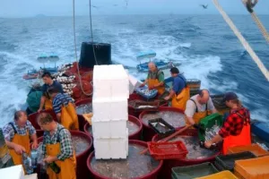 Europa uvozi dvije trećine ribe koju potroši