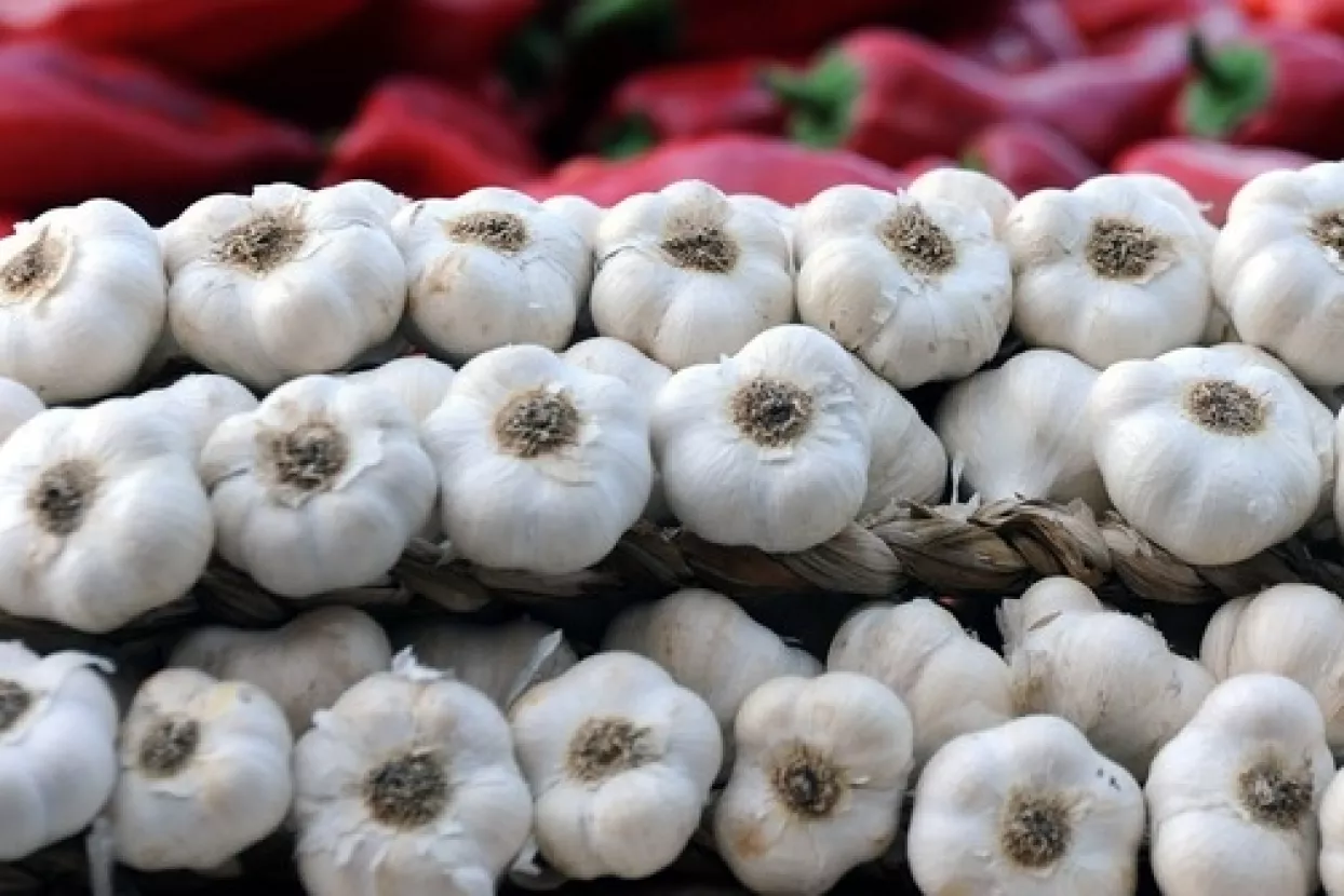 Uvezli mlijeka za 96 milijuna dolara, luka i češnjaka za 6,6