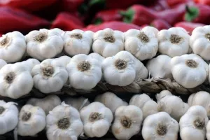 Uvezli mlijeka za 96 milijuna dolara, luka i češnjaka za 6,6