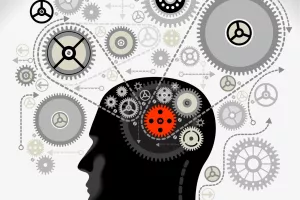 Svar je u desnoj polutki mozga