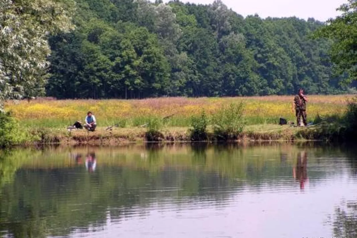 PP Orahovica vraća &scaron;arane u lipovljanske ribnjake