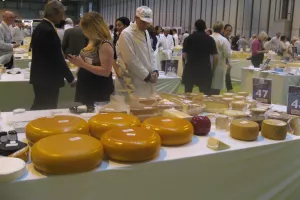 Dalmatinac najbolji sir srednje i istočne Europe