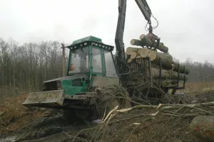 Hrvatske šume zaposlile 100 radnika, za plaće 64 milijuna kuna više