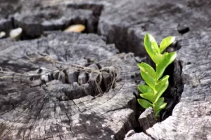 Novi programi za financiranje malog i srednjeg poduzetni&scaron;tva