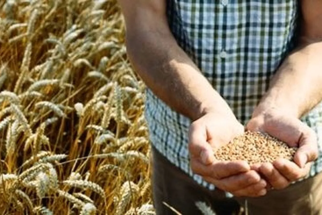 Agencija za plaćanje u poljoprivredi zatvara ispostave po županijama