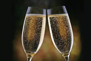 Francuski vinari posjetili Istru i porečku Agrolagunu