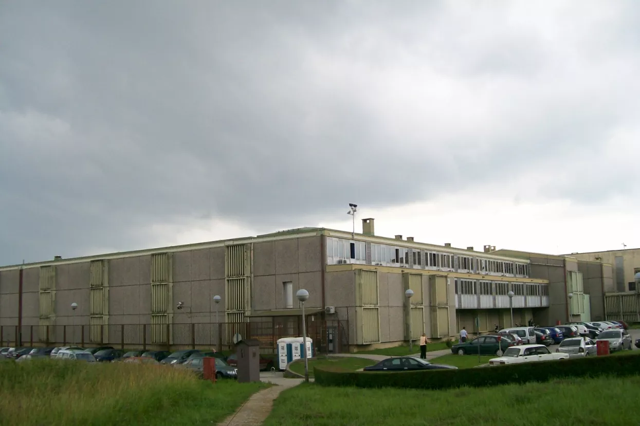 Dijana Čuljak odvezena u Remetinac