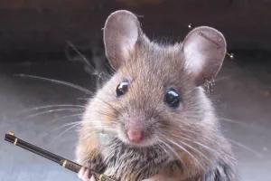 Kakve veze miševi imaju s računalima!?