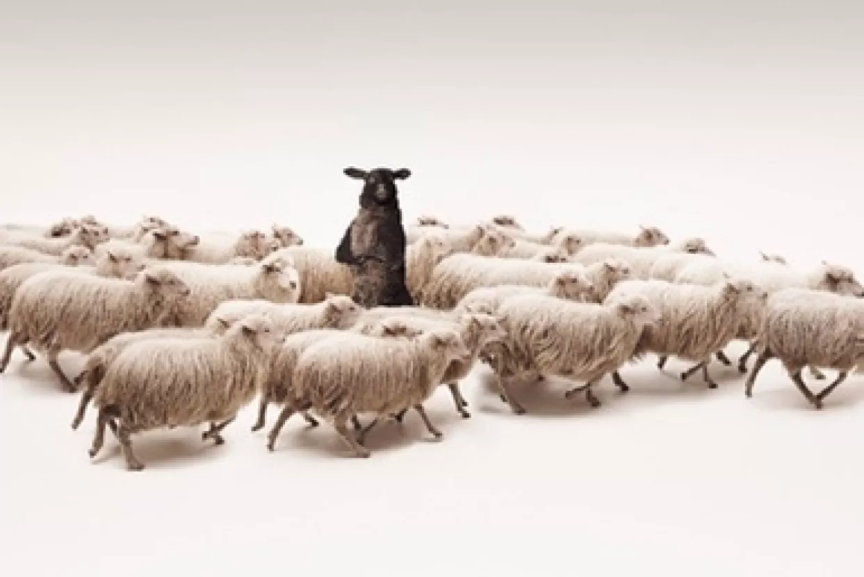 Tele2: U Hrvatskoj prihodi porasli 15,7 posto