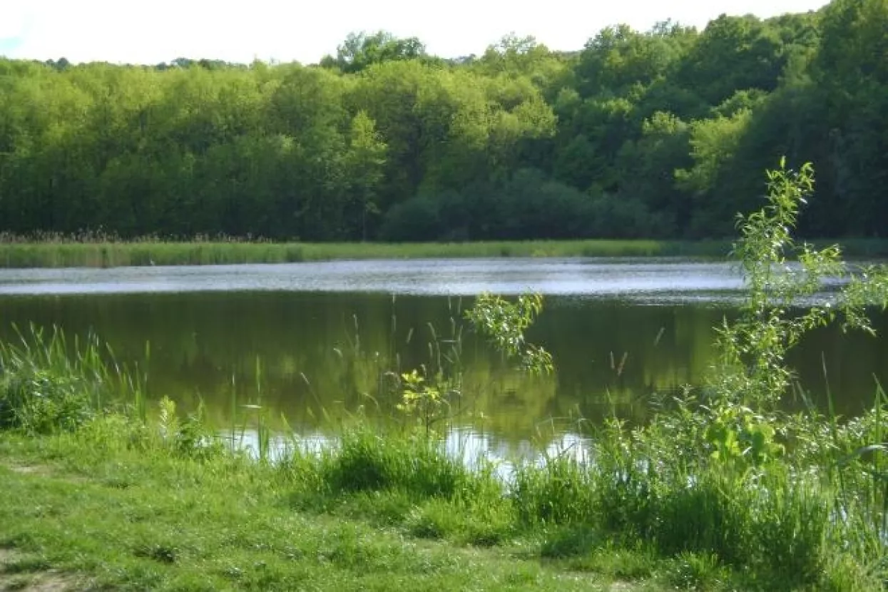Proizvodnja slatkovodne ribe smanjena za gotovo 30 posto