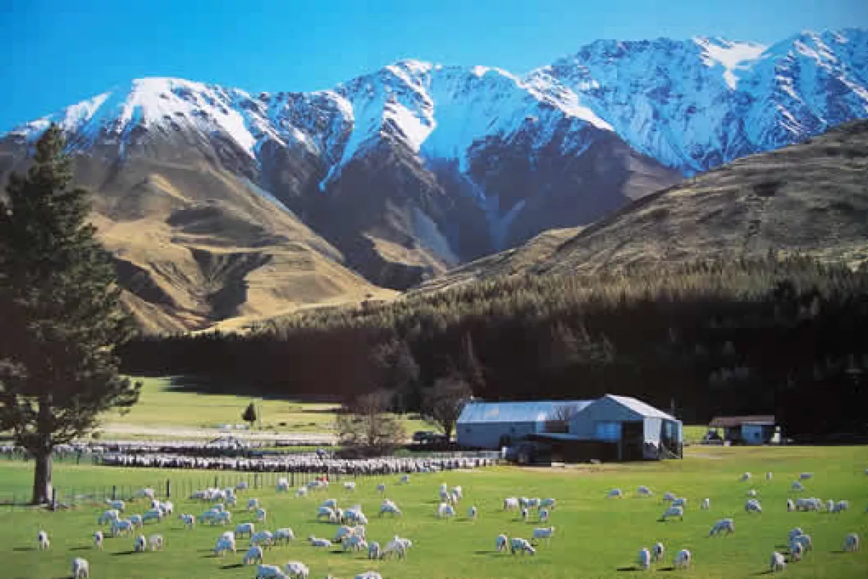 Za Novi Zeland Hrvati više ne trebaju vize