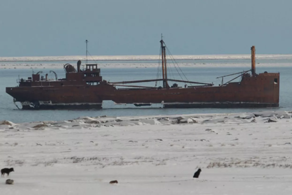 Kineski brodari otvaraju Arktičku rutu i &scaron;tede milijarde dolara