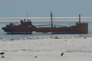 Kineski brodari otvaraju Arktičku rutu i štede milijarde dolara