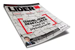 Izgubljeno desetljeće - Vodič za preživljavanje