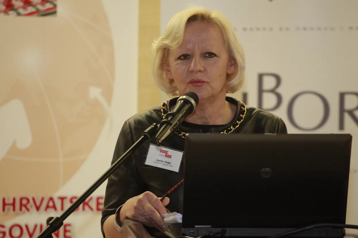 Ljerka Puljić: Hrvatska nije iskoristila priliku i pozdravila Europu